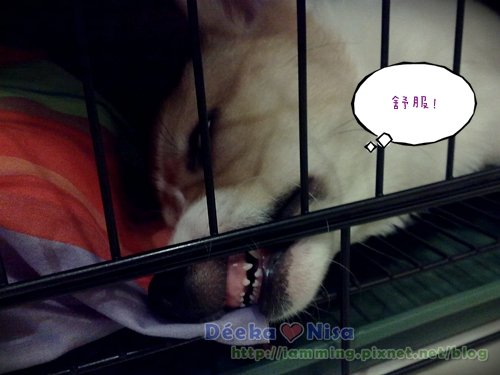 201011052316.jpg