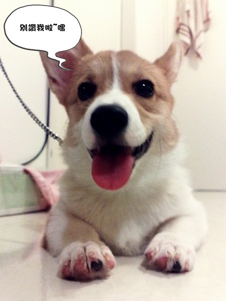 201011232447.jpg