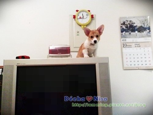 201010092175.jpg