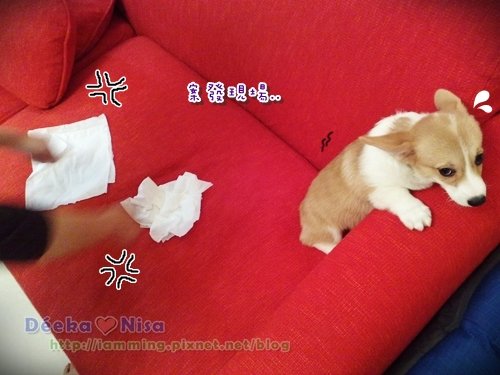 201010062148.jpg