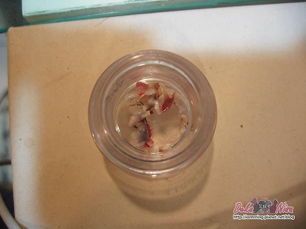 IMG_5492.JPG