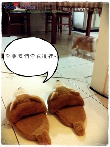 201011122379.jpg
