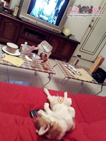 201012032521.jpg