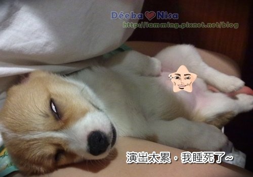 201009212024.jpg