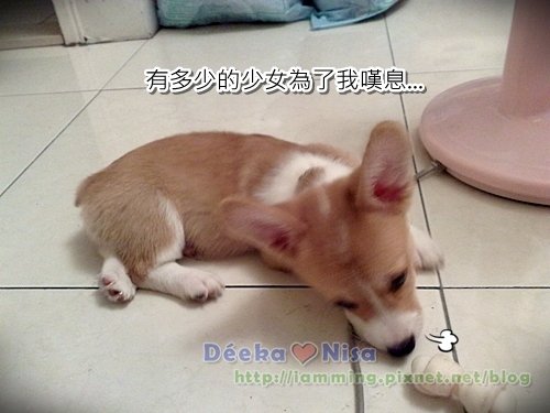201009262038.jpg