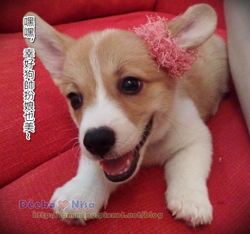 201009202017.jpg