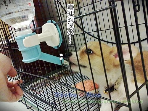 201009272052.jpg