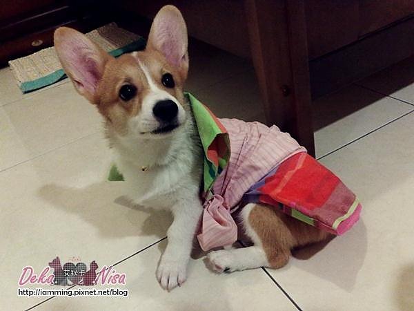 201011282477.jpg