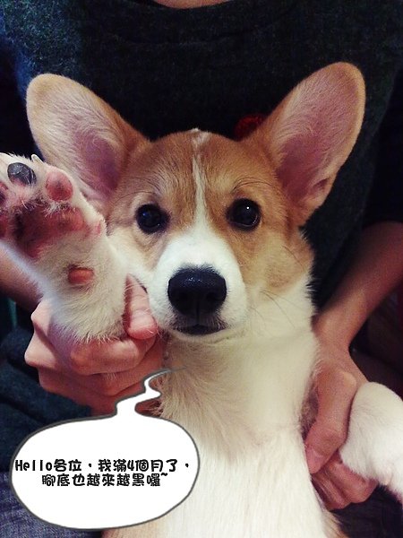 201011232438.jpg