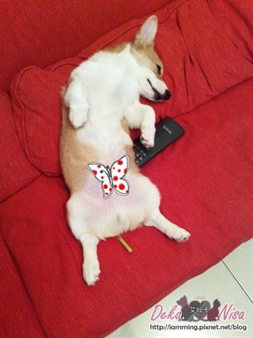 201012032517.jpg
