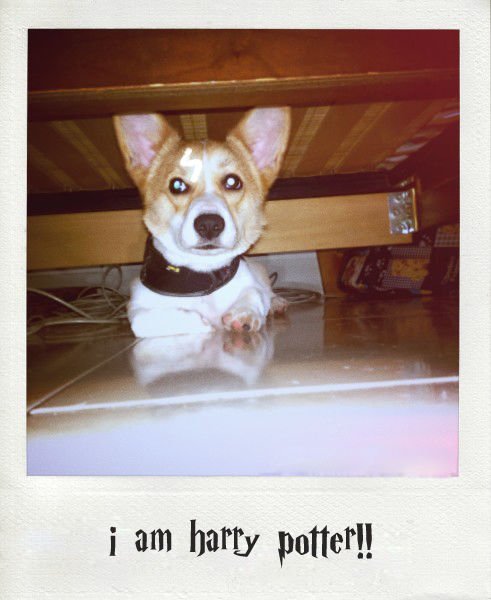 201104153270.jpg_effected.jpg