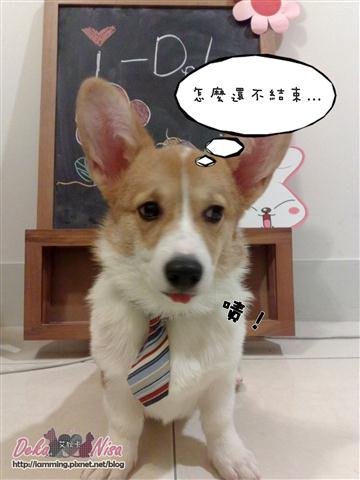 201012082650.jpg