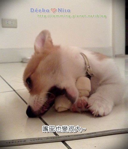 201009262035.jpg