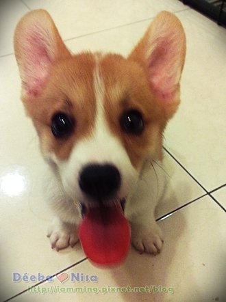 201009282053.jpg