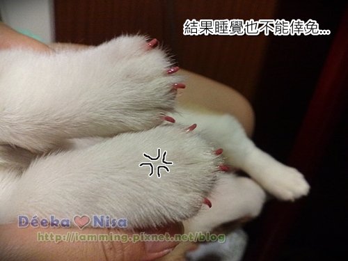 201009212025.jpg