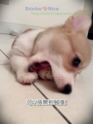 201009262036.jpg