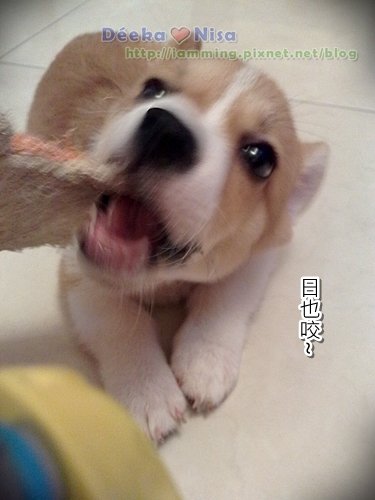 201009262041.jpg