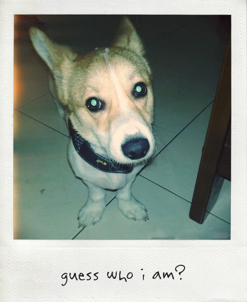 201104143269.jpg_effected.jpg