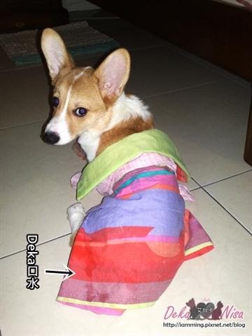 201011282481.jpg