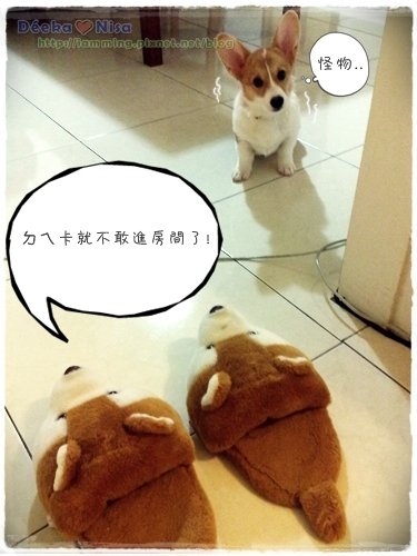 201011122380.jpg
