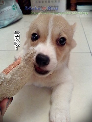 201009262042.jpg