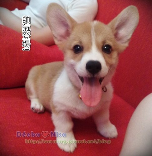 201009202021.jpg