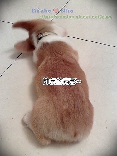 201009262037.jpg