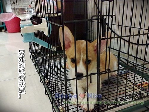 201009272046.jpg