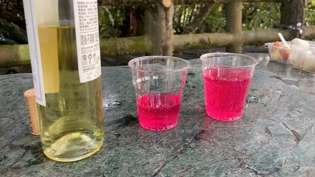 法國Mastrad氣泡隨身瓶(機)