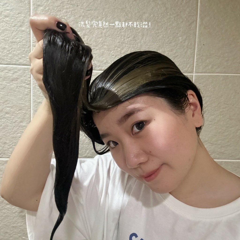【美髮推薦】控油與柔順同時擁有！「本真THETRUE」癒創木