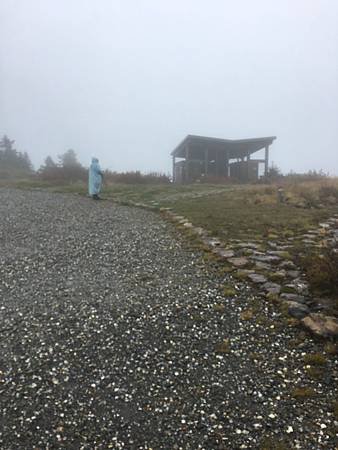 IMG_9361.JPG