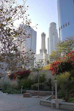 P1000546.JPG