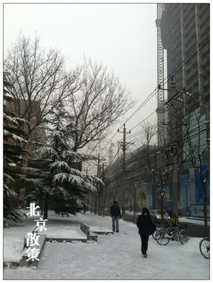 20121214今年第三場雪