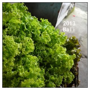2013bali_31__綠浪