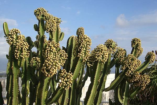 2GettyCenter (40).JPG