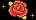 rose13
