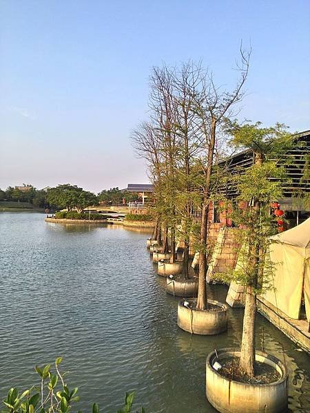 06P_20131118_155608_HDR.jpg