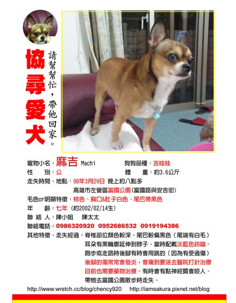 協尋愛犬麻吉.jpg