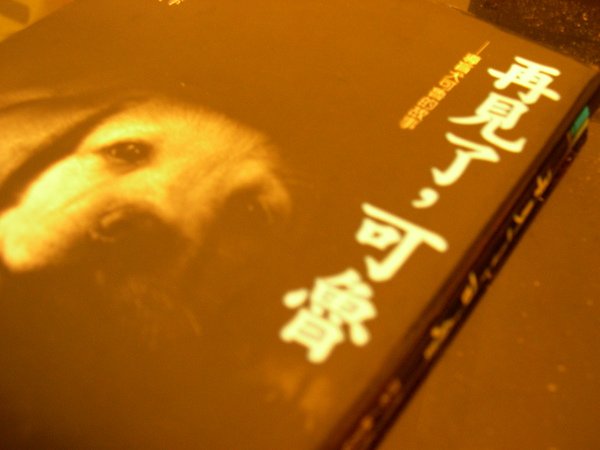 DSCN1206.JPG