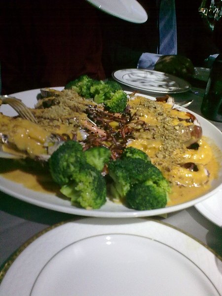 20101113623.jpg