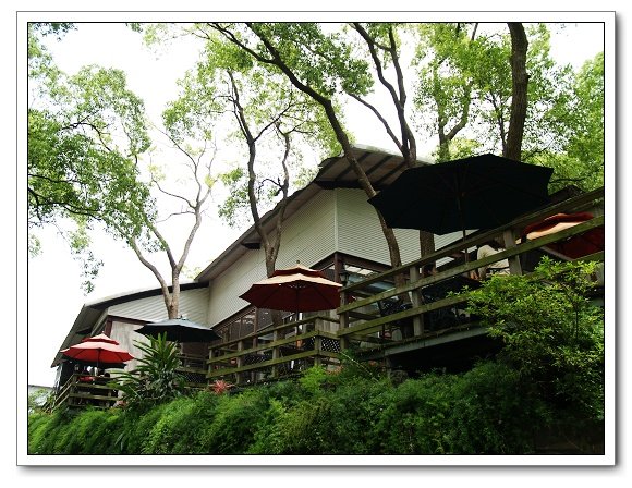 上田咖啡莊園01.jpg