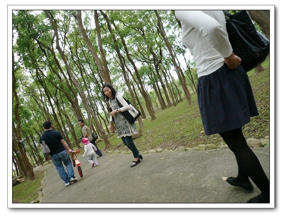 上田咖啡莊園18.jpg