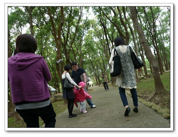 上田咖啡莊園19.jpg