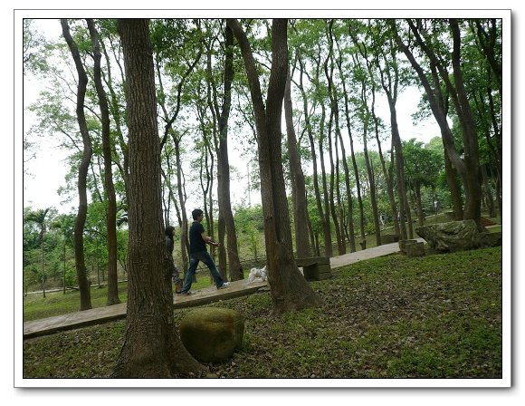 上田咖啡莊園20.jpg