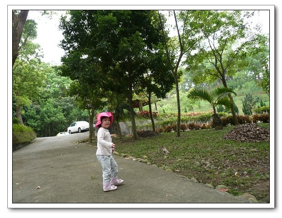 上田咖啡莊園21.jpg