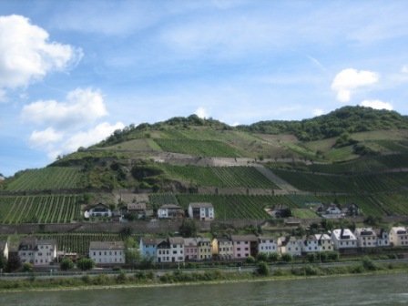 IMG_6689.JPG