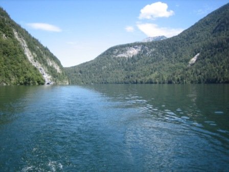 IMG_7081.JPG