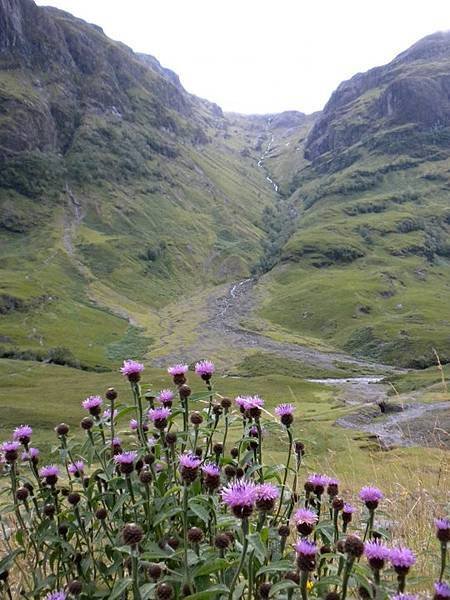 scotland.jpg