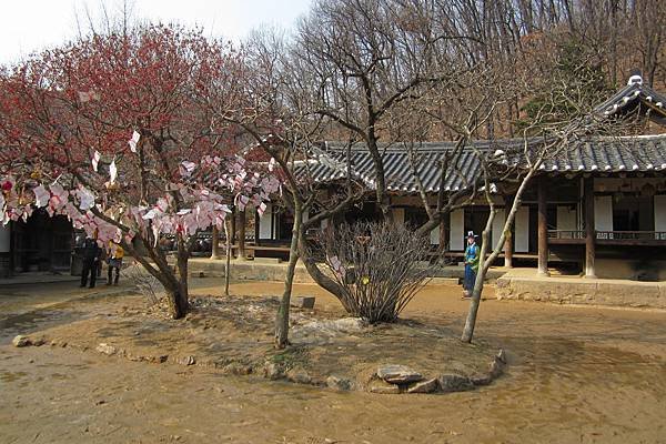 south korea 106