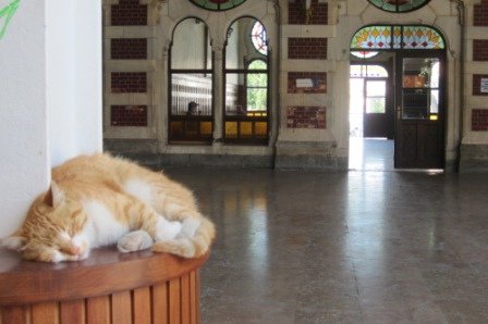 turkey 090.jpg